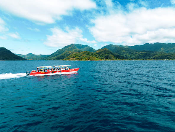Star Collector: Pacific Horizons from Panama to Tahiti